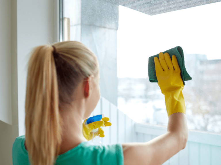 House Cleaning Service Fargo West Fargo Moorhead